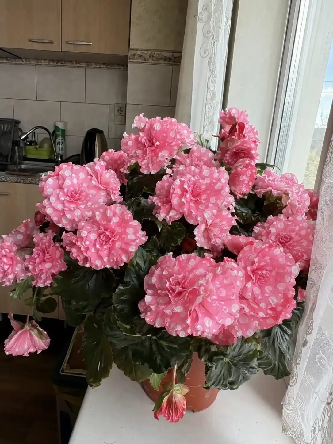Галерея 2