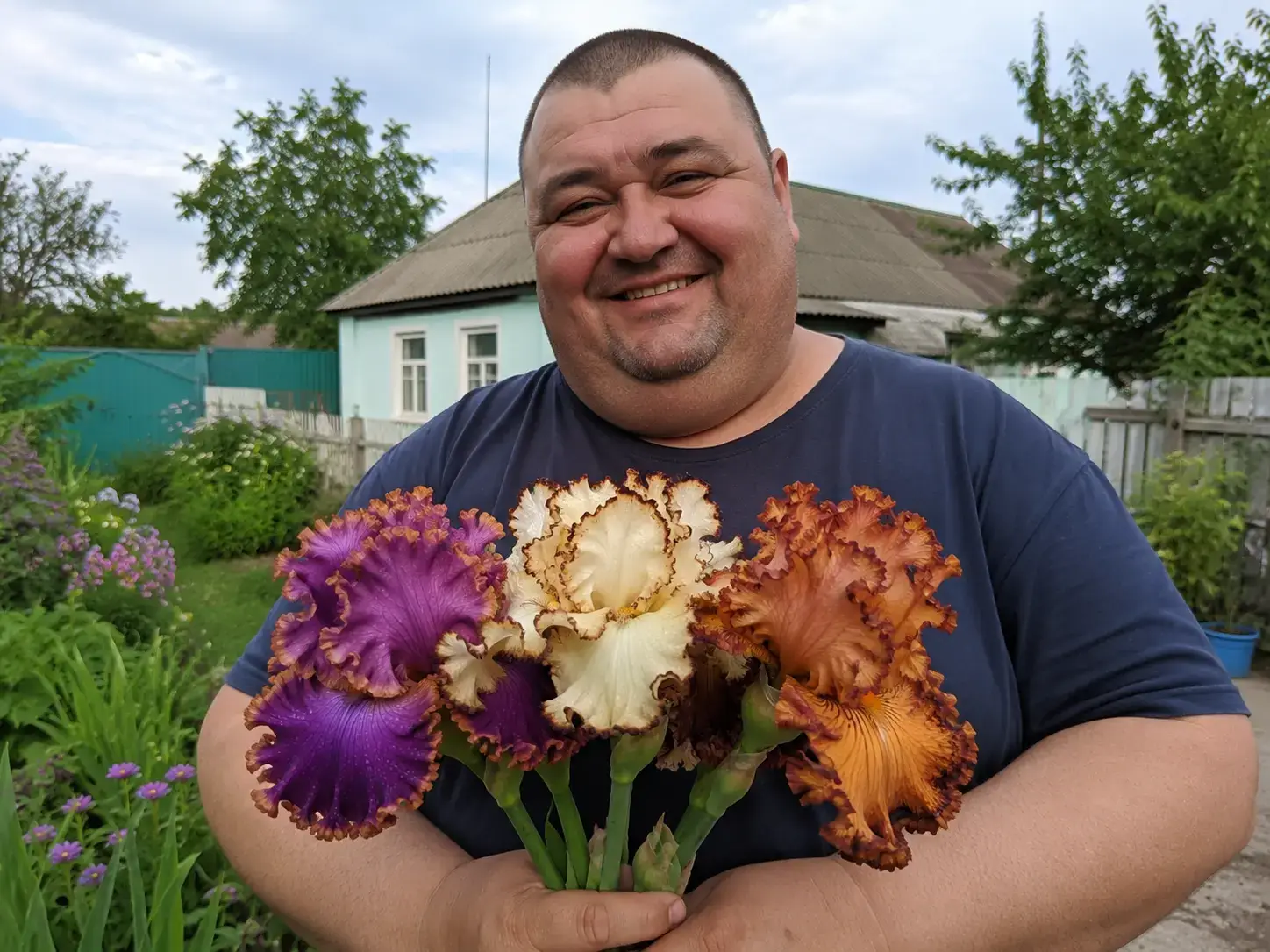 Ірис Іспанська Пристрасть