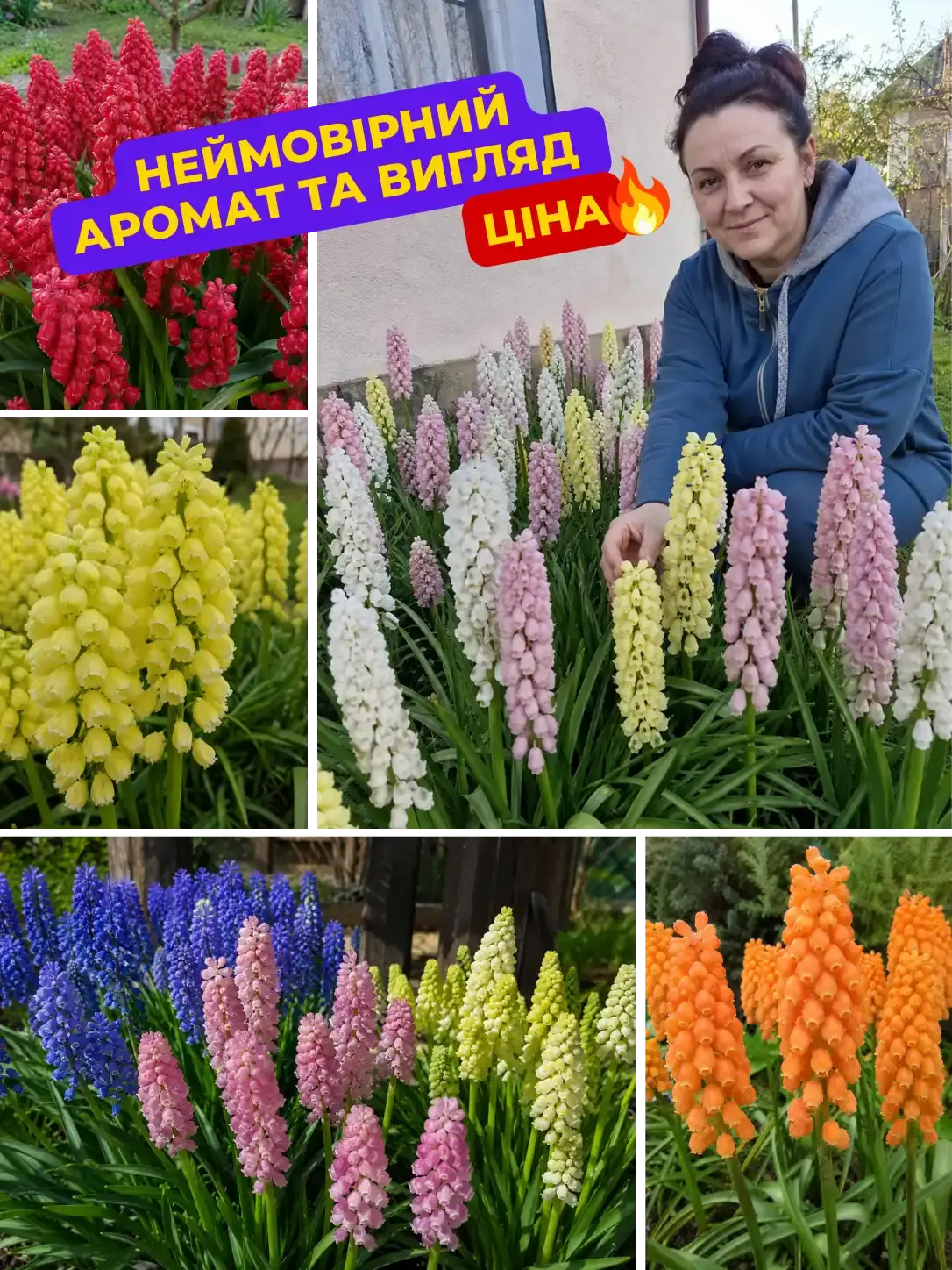 Мускарі