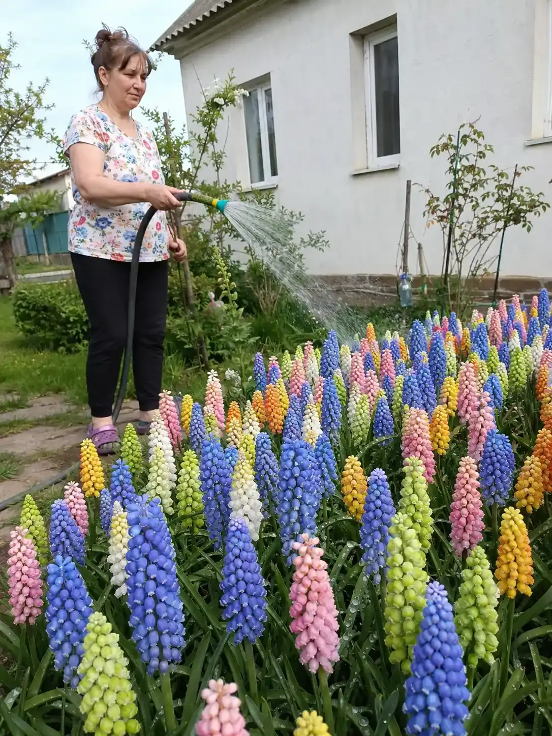 Про мускарі