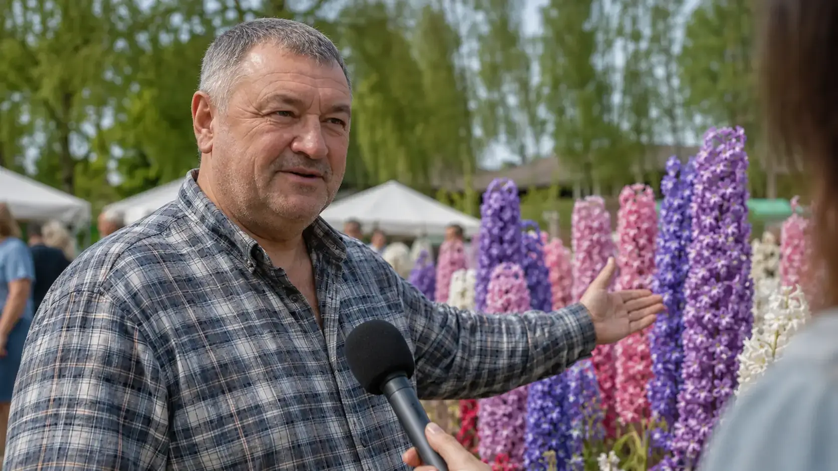 Відео: Королівський Гіацинт на виставці