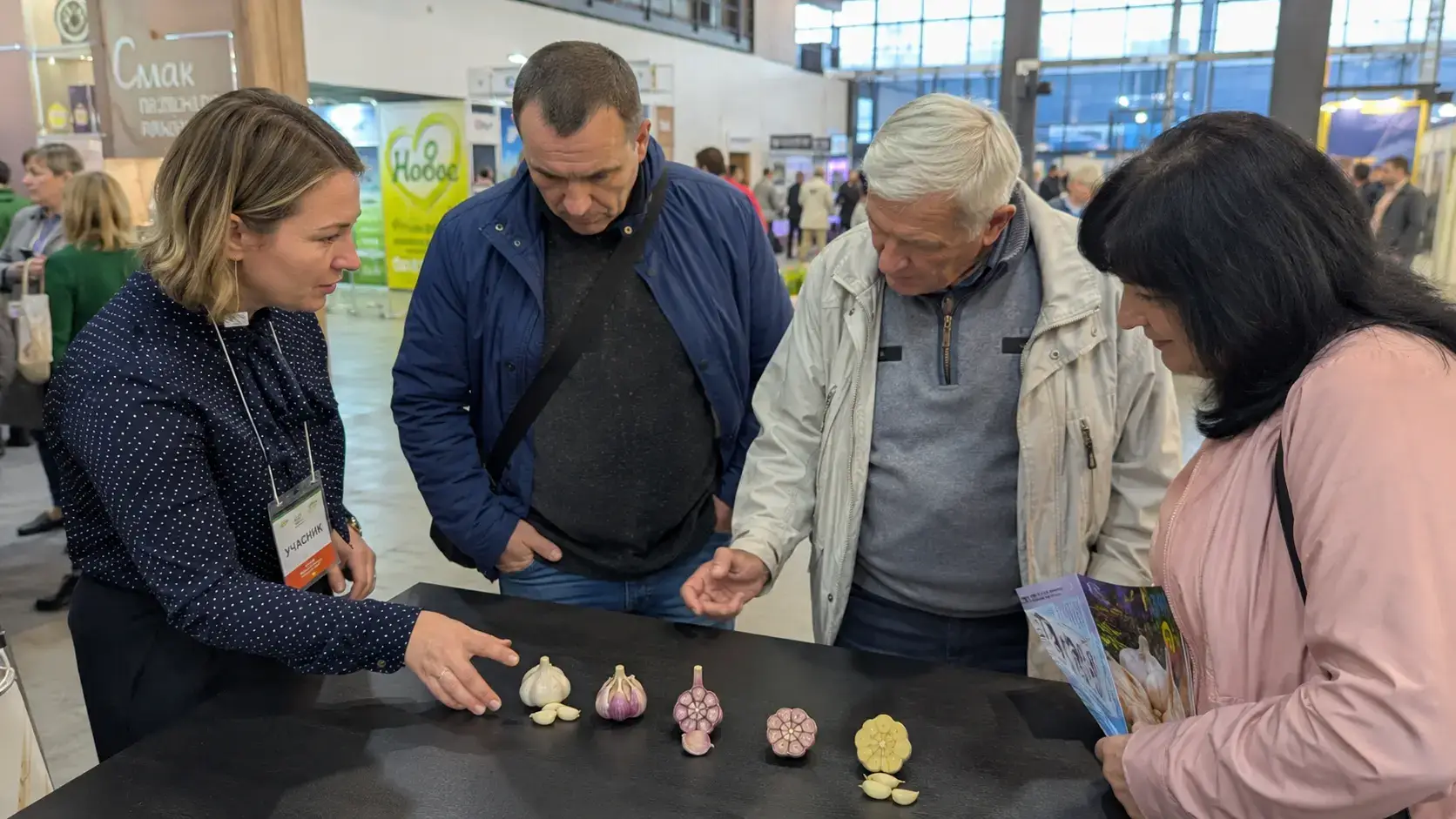 Фото-постановка для редакційного матеріалу: чотири головки часнику лежать на темному матовому столі у чіткій послідовності — біла, фіолетова, рожева та жовта. Дві головки розрізані